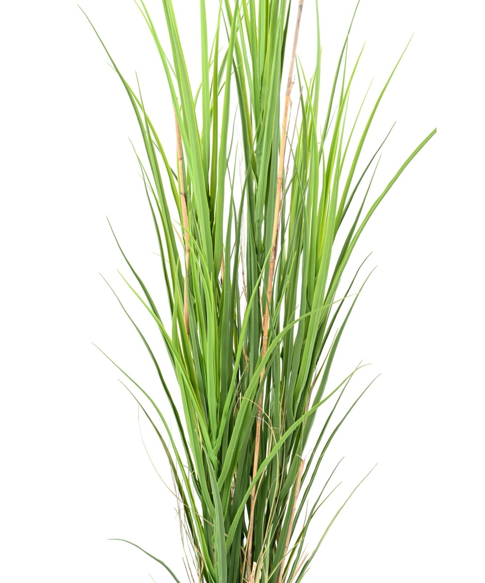Kunstlik SUUR MURU