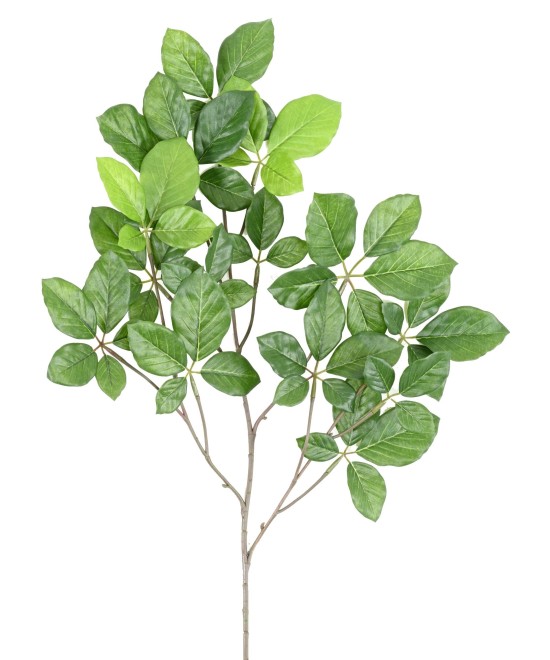 Kunstlik PÖÖGI GRANDIFOLIA dekoratiivoks