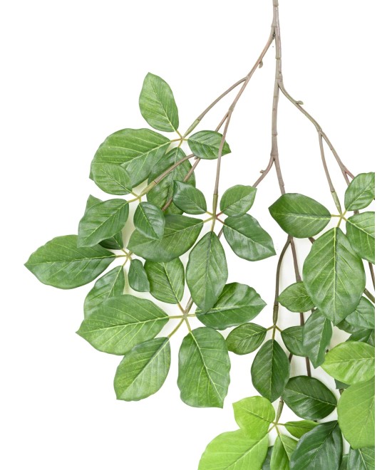 Kunstlik PÖÖGI GRANDIFOLIA dekoratiivoks