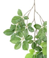 Kunstlik PÖÖGI GRANDIFOLIA dekoratiivoks
