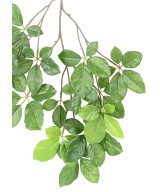 Kunstlik PÖÖGI GRANDIFOLIA dekoratiivoks