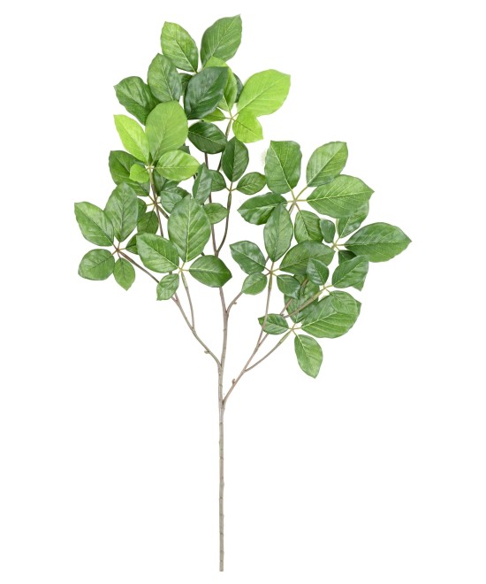Kunstlik PÖÖGI GRANDIFOLIA dekoratiivoks