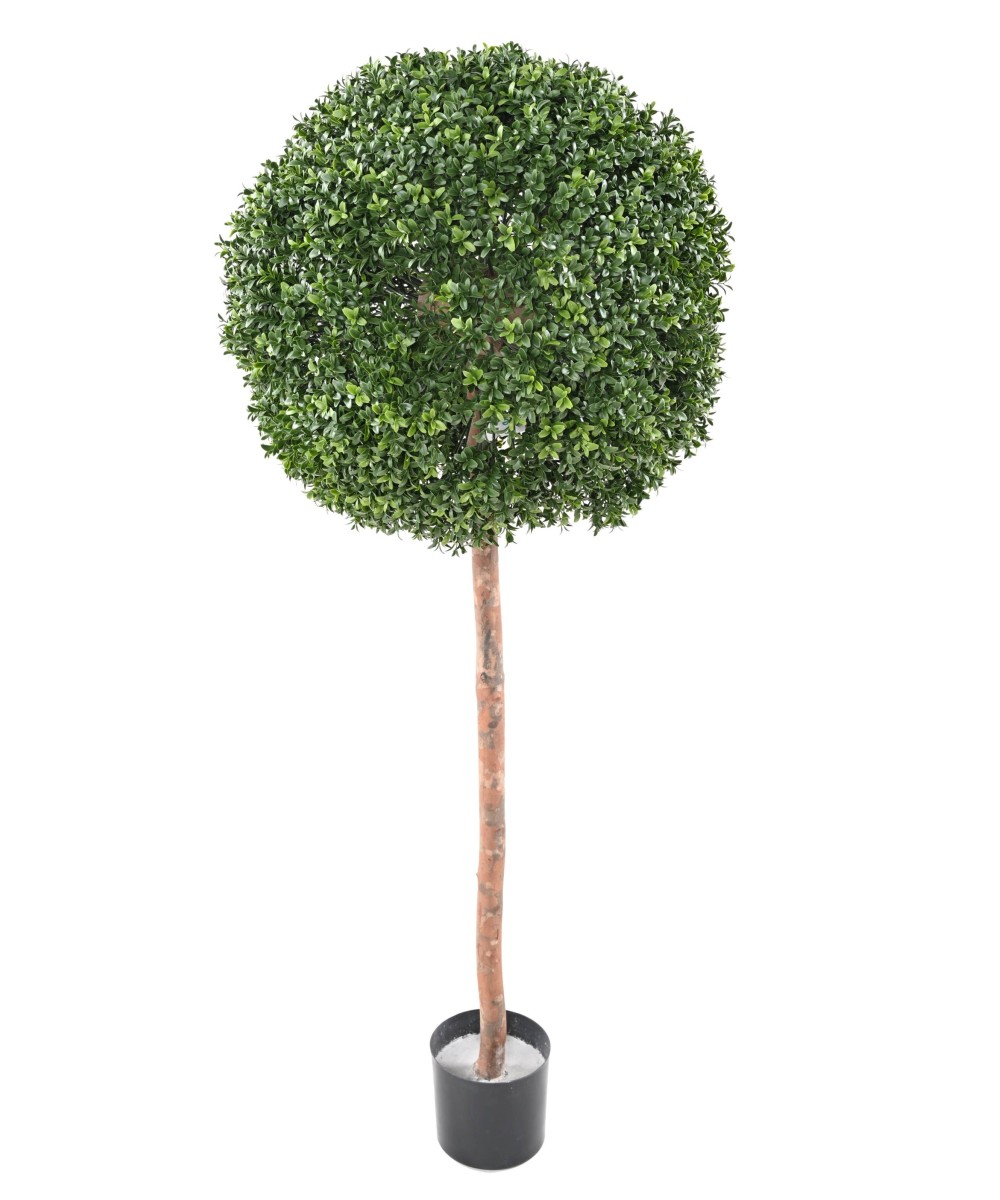 Artificial BOXWOOD STEM BALL NEW REGULAR UV