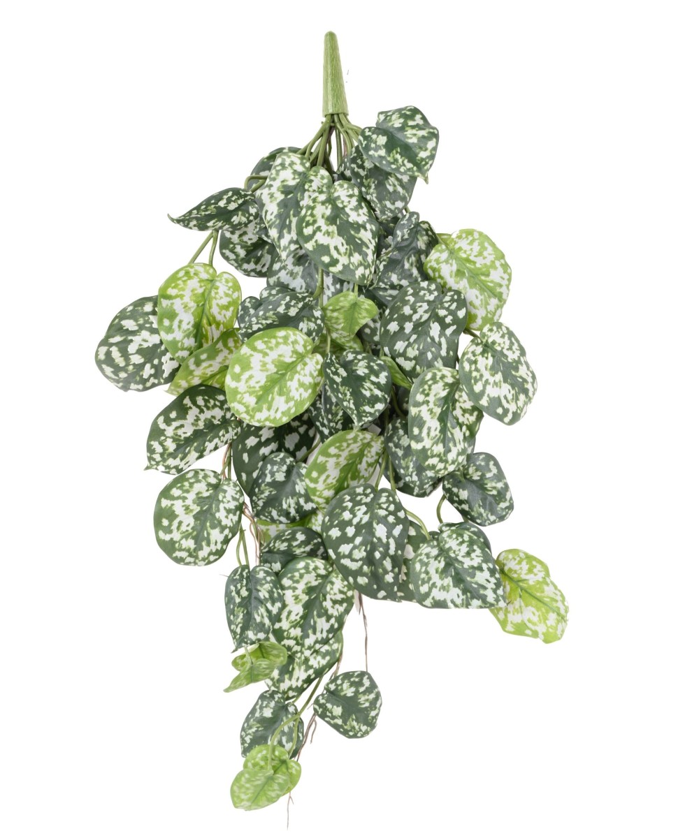 SCINDAPSUS *60 Kunstlik