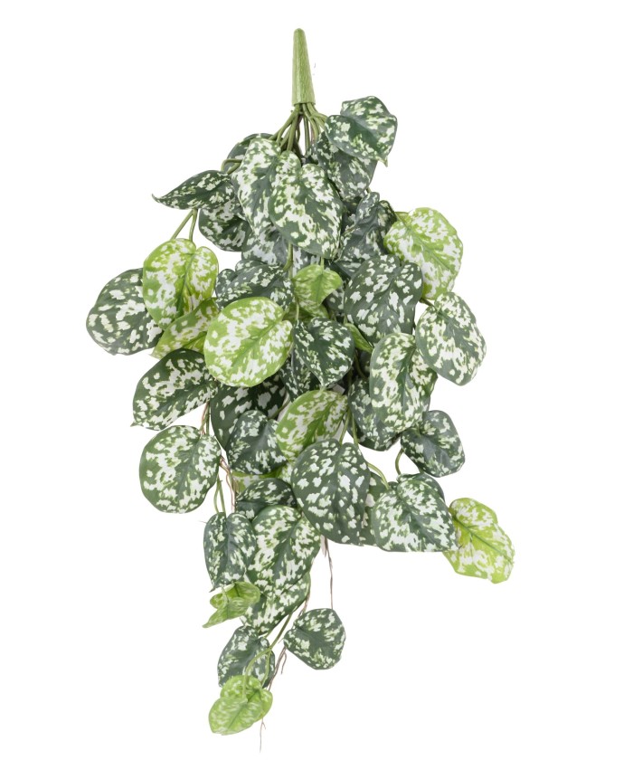 SCINDAPSUS *60 Kunstlik
