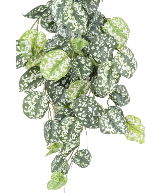 SCINDAPSUS *60 Kunstlik