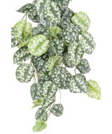 SCINDAPSUS *60 Kunstlik