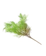 Artificial FINE ASPARAGUS BUSH