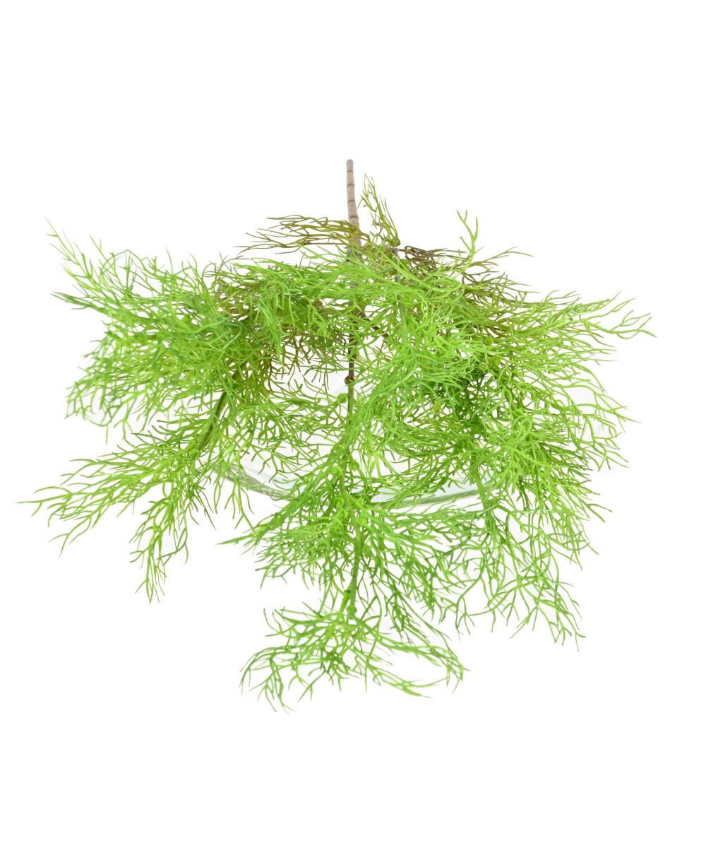 Artificial FINE ASPARAGUS BUSH