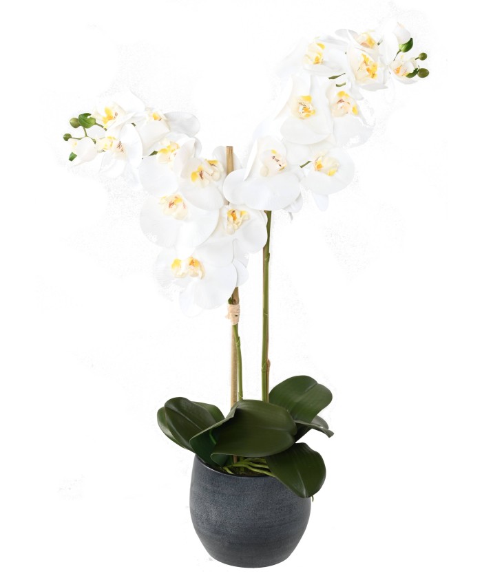 Artificial PHALAENOPSIS ORCHID BOUQUET *2 IN GRAPHITE POT
