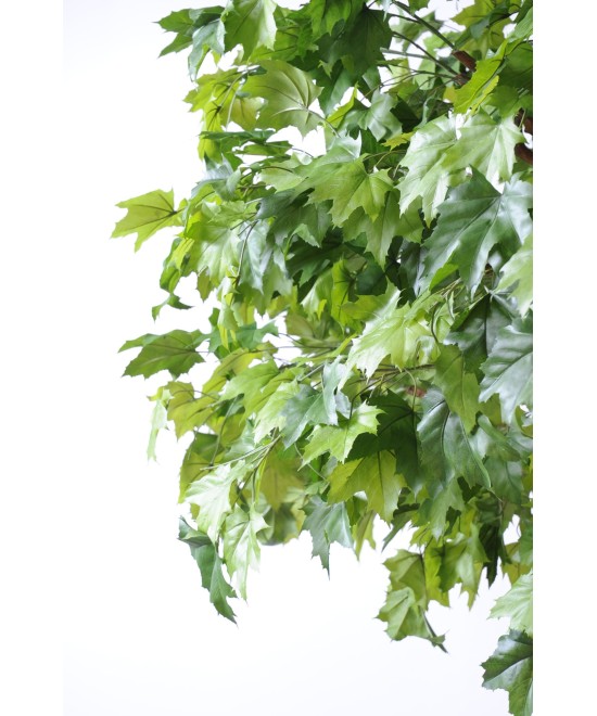 Artificial plane TREE