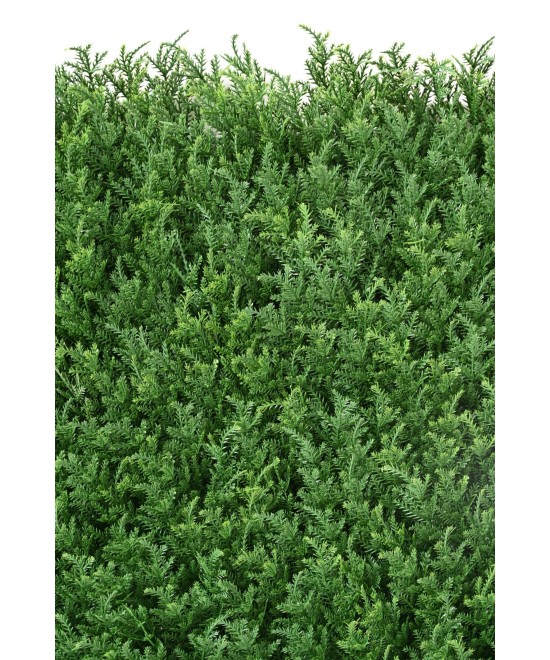 Artificial CYPRESS (juniperus vj) PANEL NEW 50*50
