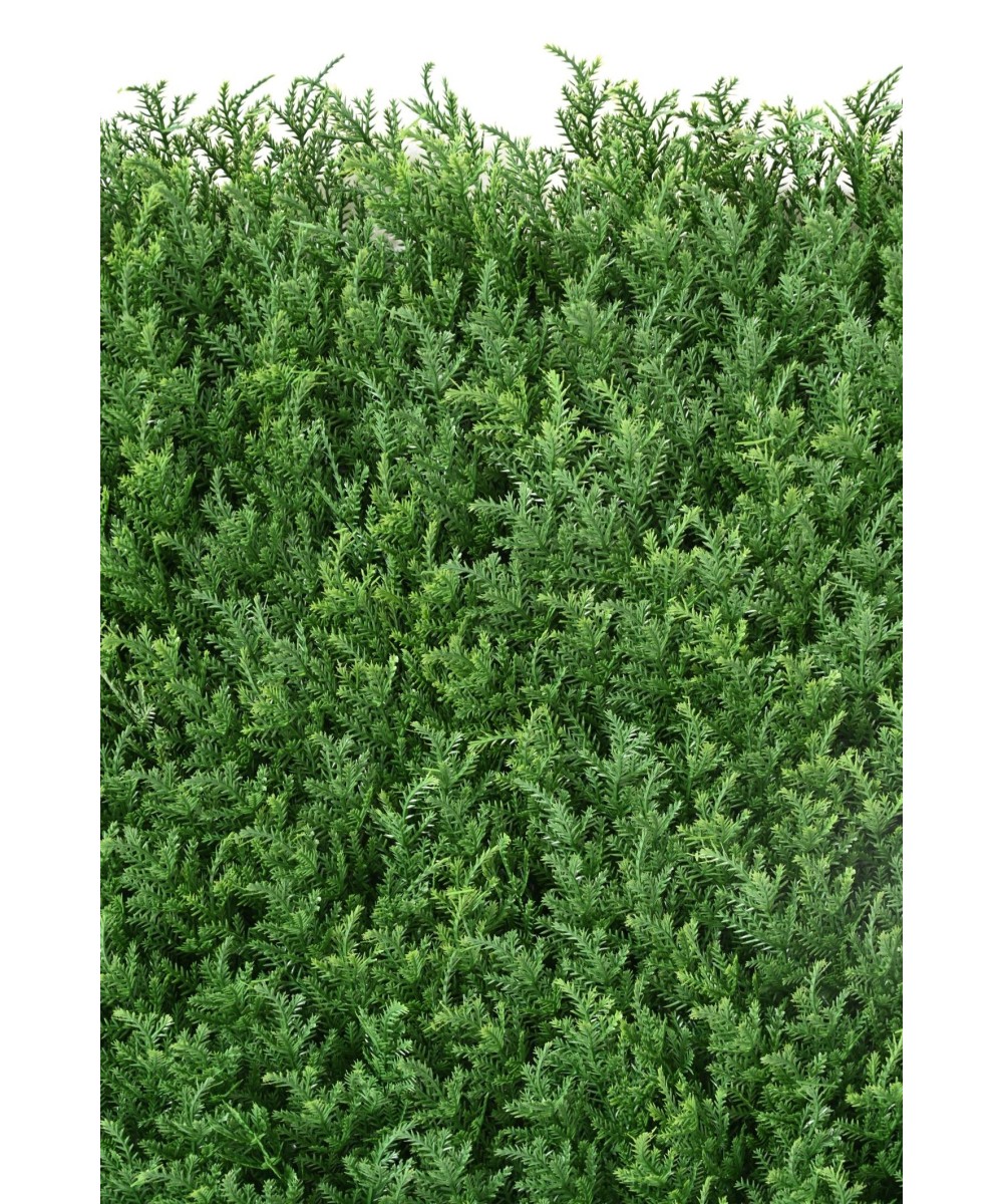Kunstlik KÜPRESS (juniperus vj) PANEEL UUS 50*50