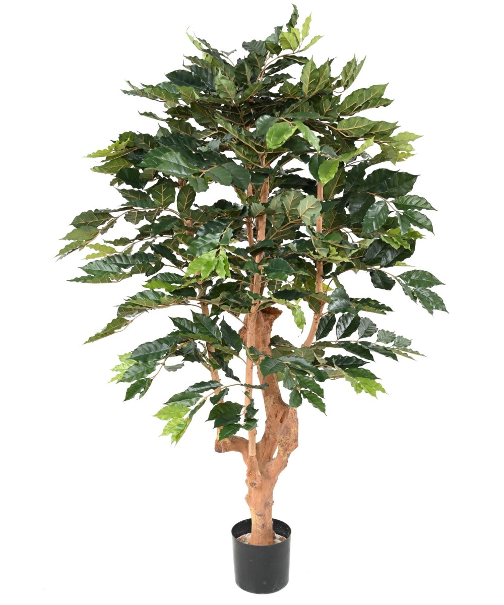 Artificial COFFEE TREE