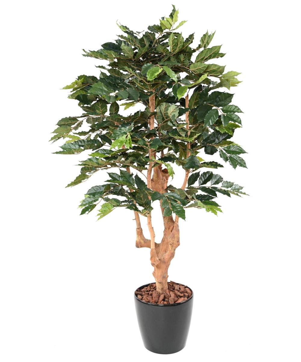 Artificial COFFEE TREE