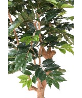 Artificial COFFEE TREE