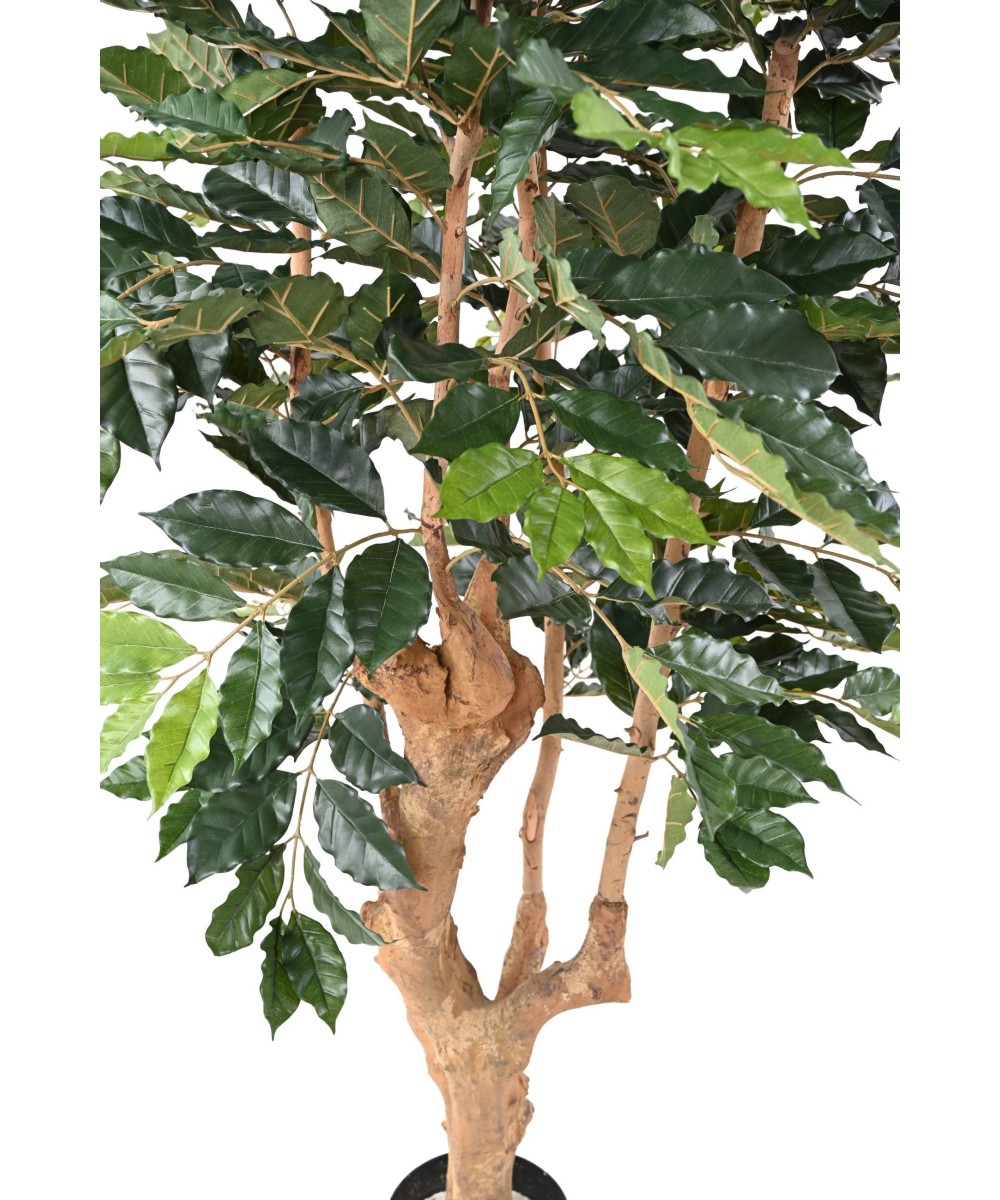 Artificial COFFEE TREE
