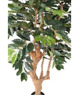 Artificial COFFEE TREE