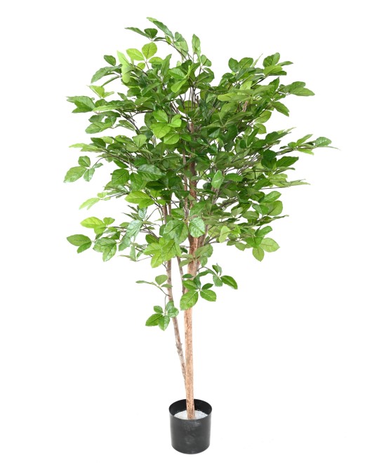 Kunstlik pöök GRANDIFOLIA 160