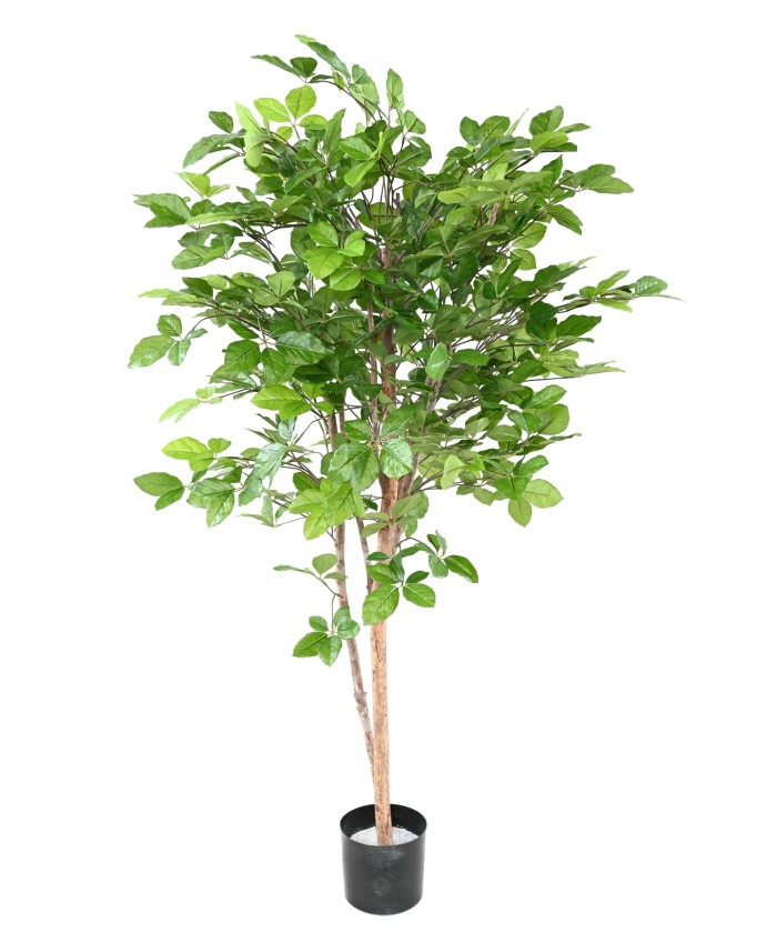 Artificial Beech GRANDIFOLIA 160