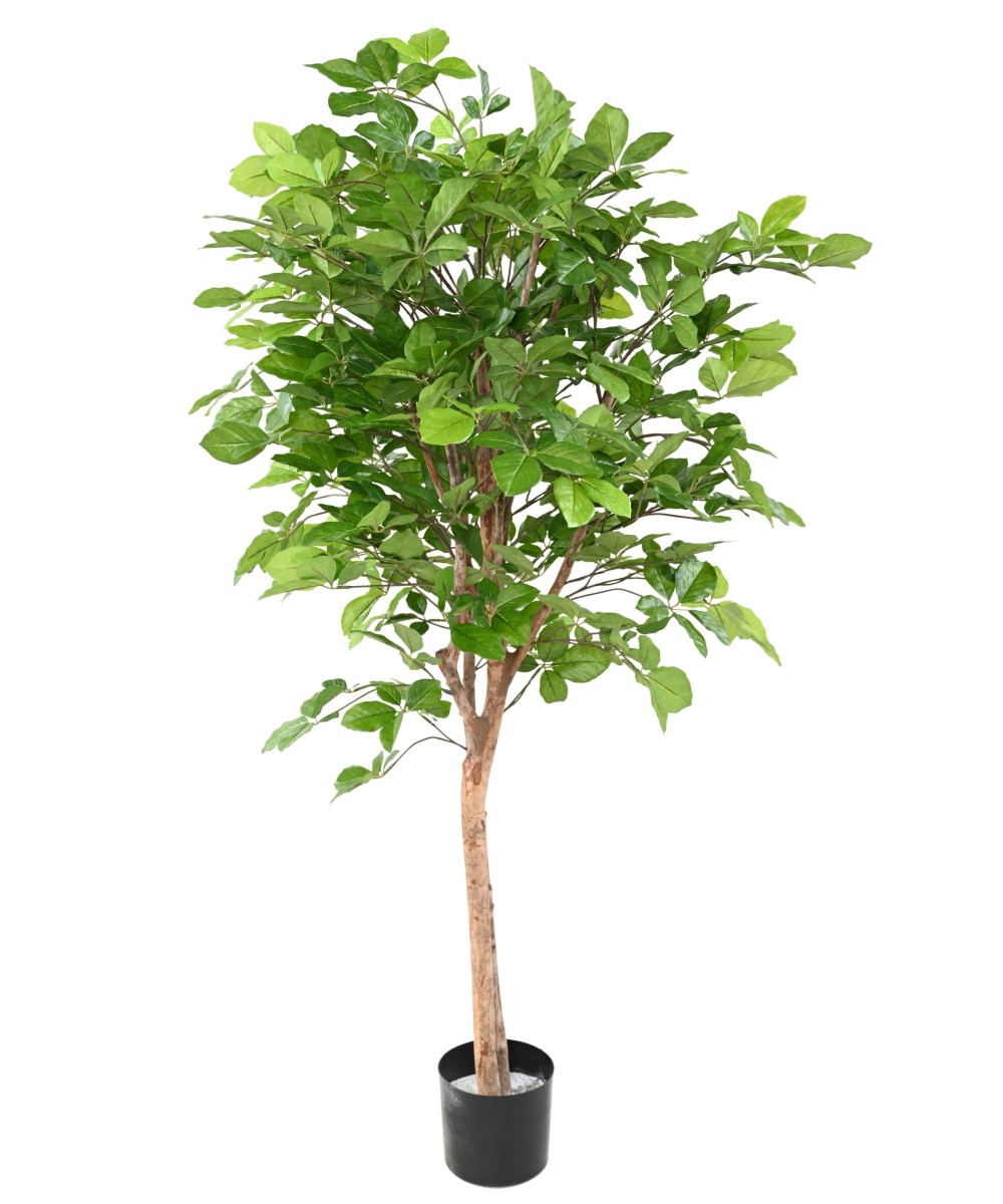 Kunstlik pöök GRANDIFOLIA 160