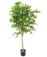 Artificial Beech GRANDIFOLIA 160