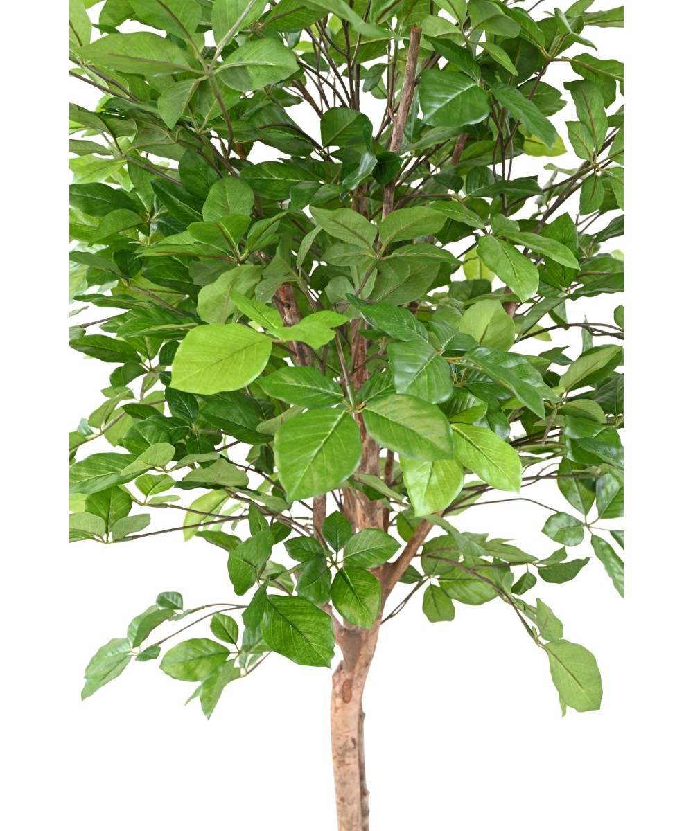 Kunstlik pöök GRANDIFOLIA 160