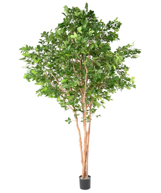 Kunstlik pöögist grandifolia puu 350
