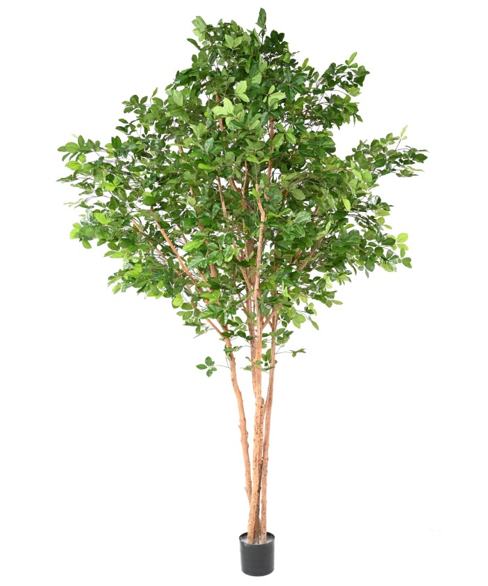 Artificial BEECH GRANDIFOLIA TREE 350