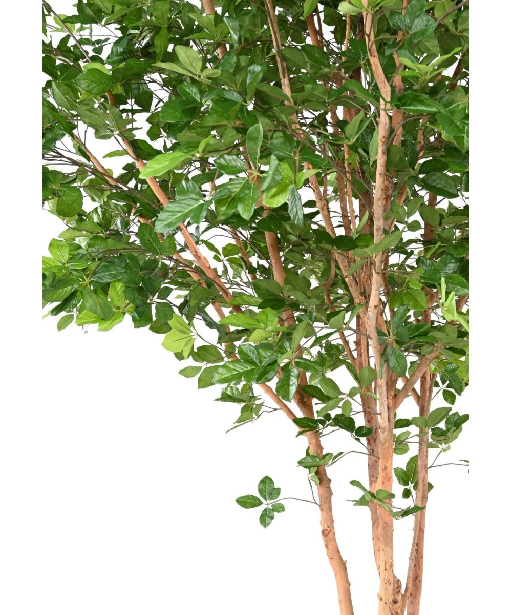 Kunstlik pöögist grandifolia puu 350