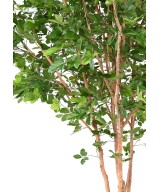 Artificial BEECH GRANDIFOLIA TREE 350
