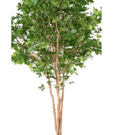 Kunstlik pöögist grandifolia puu 350