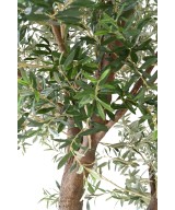 Artificial OLIVE TREE GIANT HEAD 2T 350