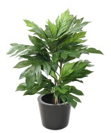 Artificial ARTOCARPUS ALTILIS (breadfruit tree)