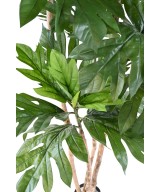 Kunstlik mitmetüveline leivapuu ARTOCARPUS ALTILIS