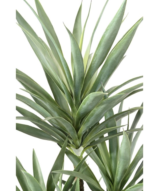 Artificial YUCCA RAPIER