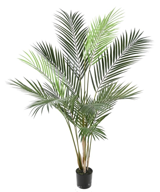 Artificial ARECA PLAST