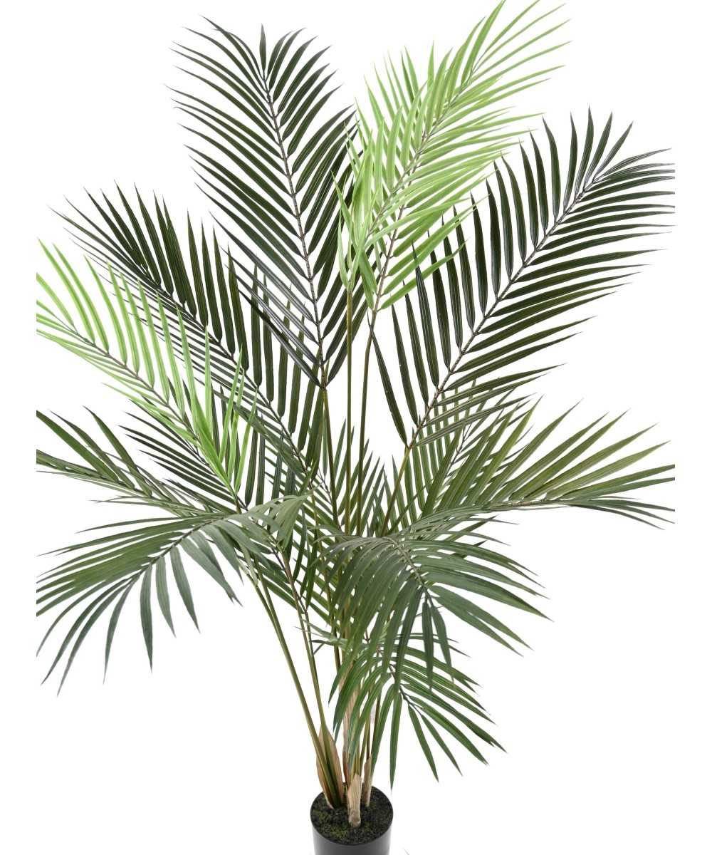 Artificial ARECA PLAST