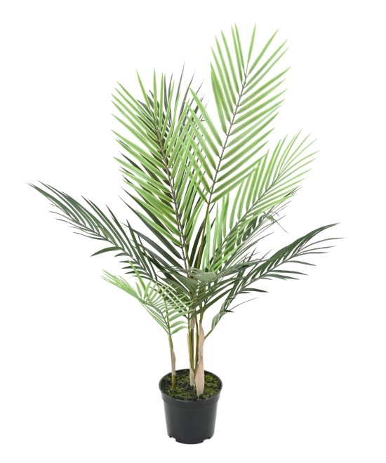 Artificial ARECA PLAST