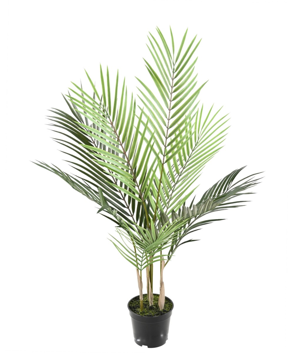 Artificial ARECA PLAST