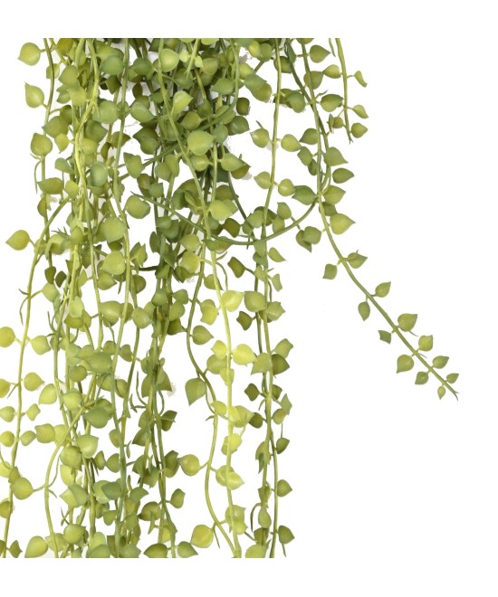 Artificial CALLISIA 55