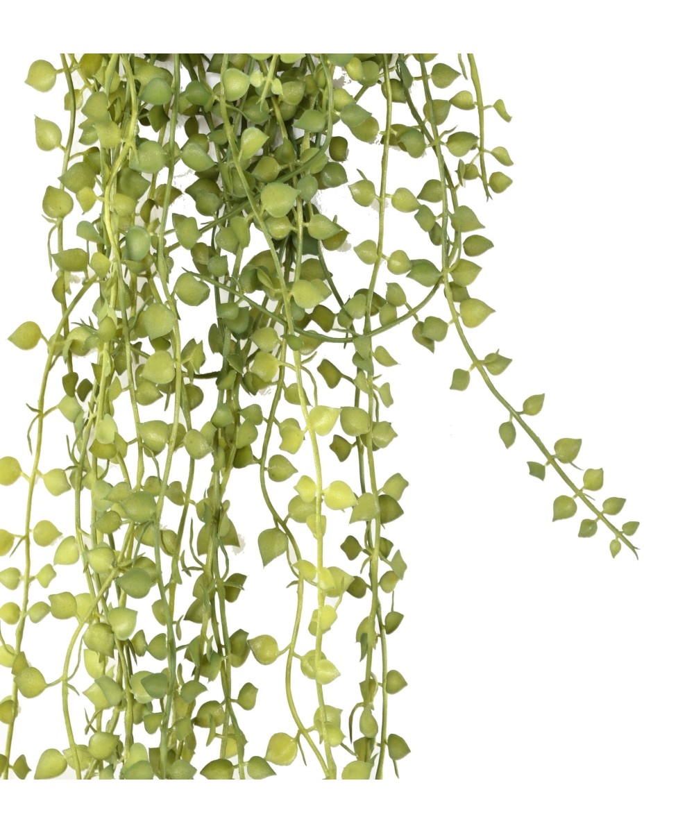 Artificial CALLISIA 55