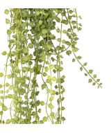 Artificial CALLISIA 55