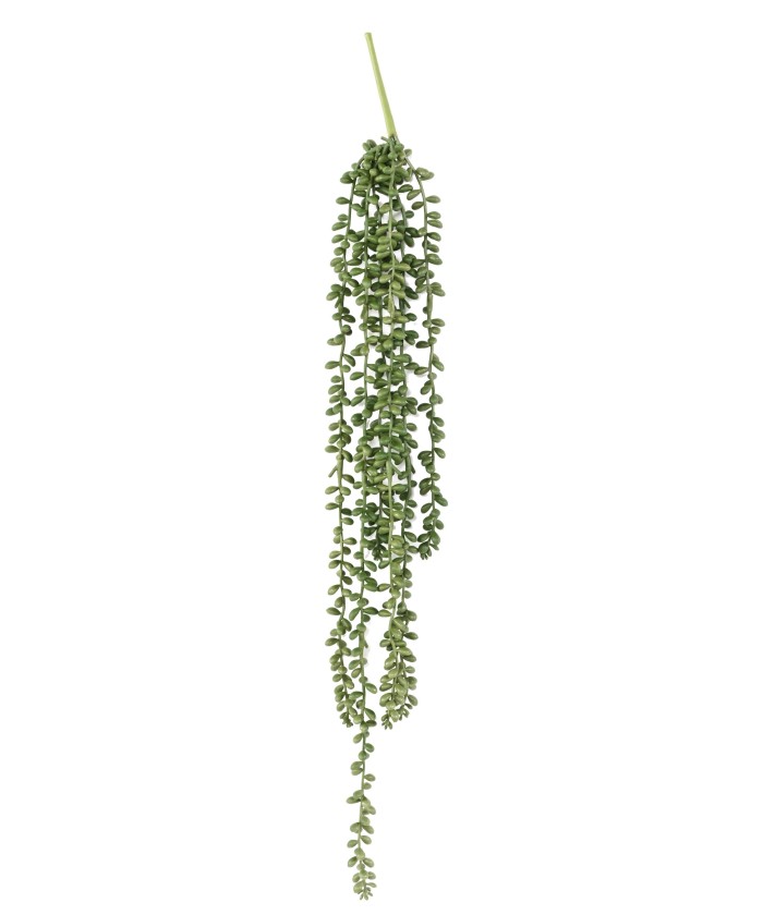 Artificial CRASSULA KLEINIA (pearl necklace) 60