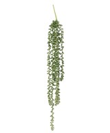 Artificial CRASSULA KLEINIA (pearl necklace) 60