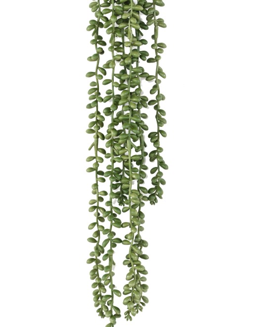 Artificial CRASSULA KLEINIA (pearl necklace) 60