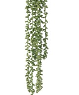 Artificial CRASSULA KLEINIA (pearl necklace) 60
