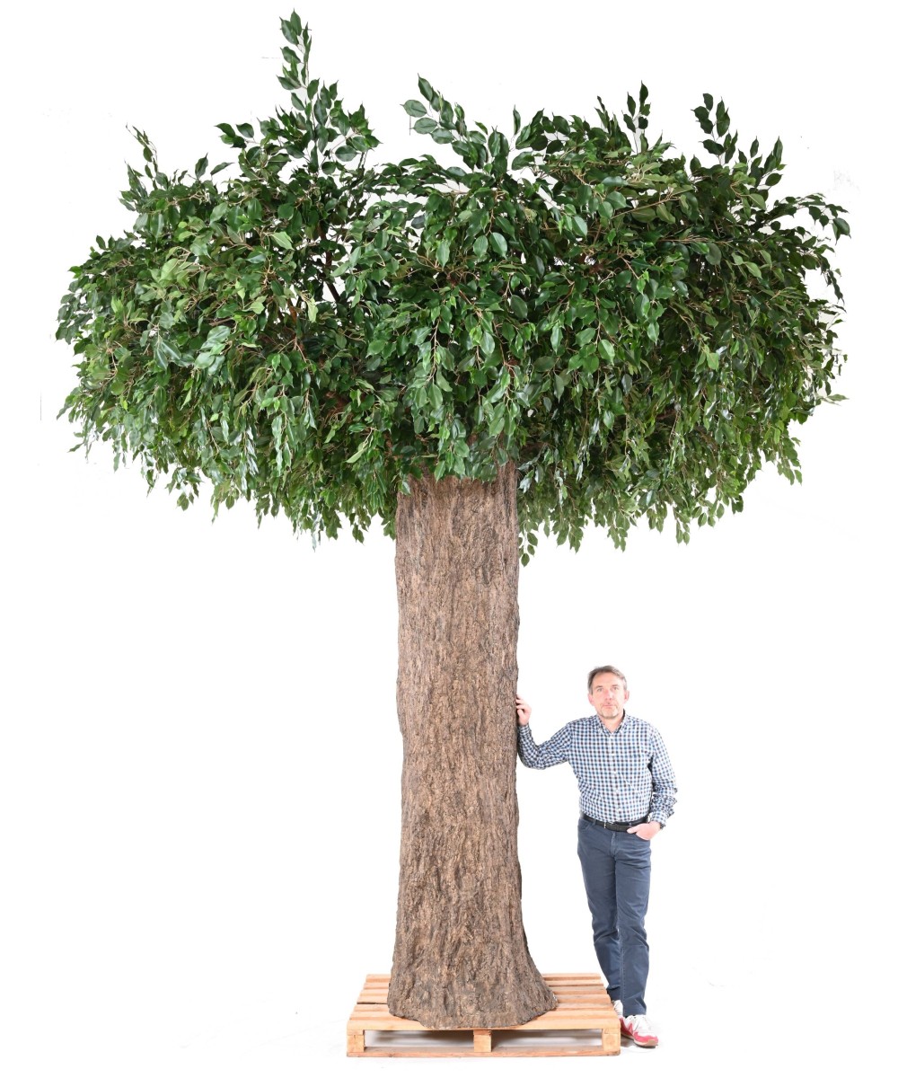 Artificial FICUS GIANT TRUNK 2 PARTS (Post Cover)