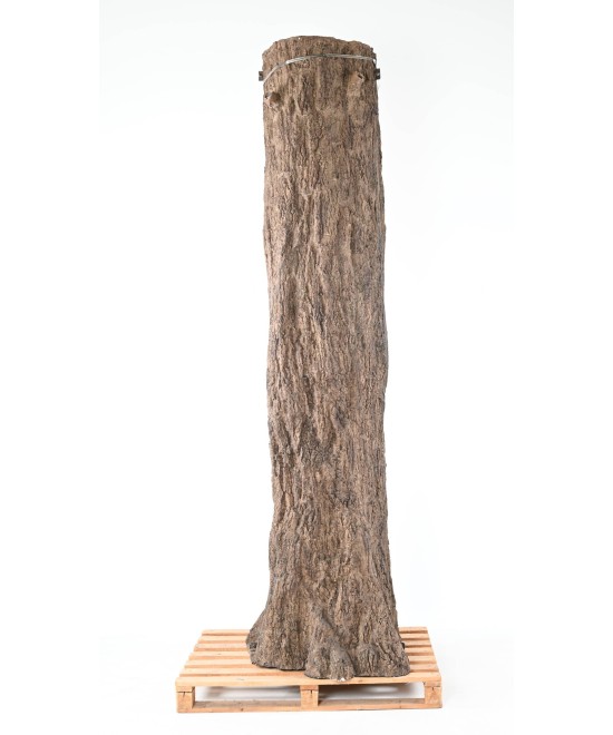 Kunstlik hiiglaslik fikuss tüvi 2 osa (postikate)