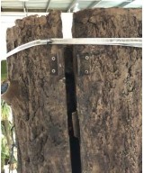 Artificial FICUS GIANT TRUNK 2 PARTS (Post Cover)